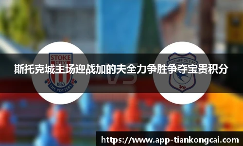 斯托克城主场迎战加的夫全力争胜争夺宝贵积分